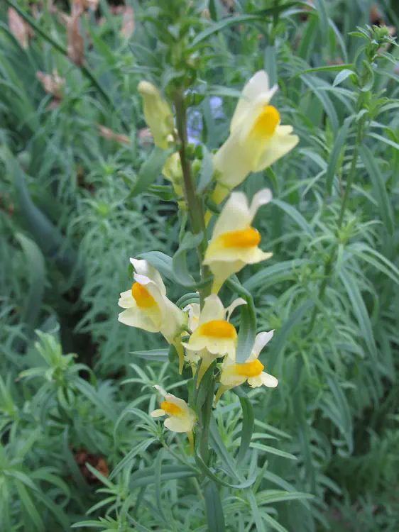 2018-06-01 18.58.36.jpg