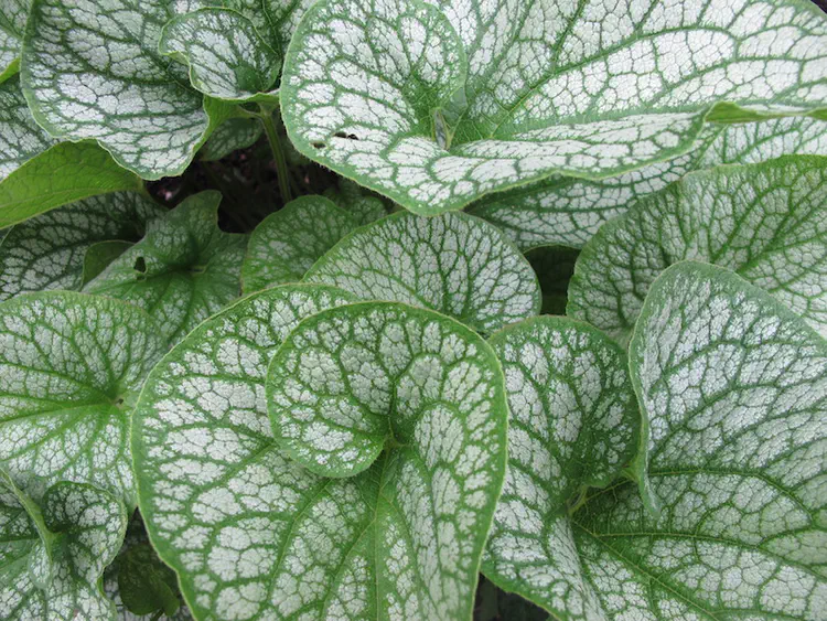 2018-06-09 17.57.15.jpg