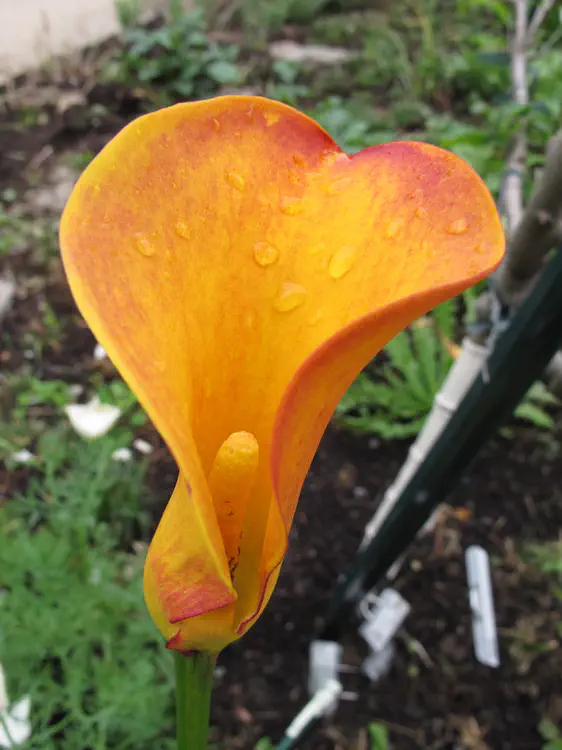 2018-06-09 18.08.57.jpg