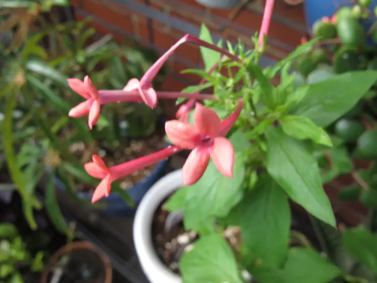 2018-06-16 17.10.18.jpg