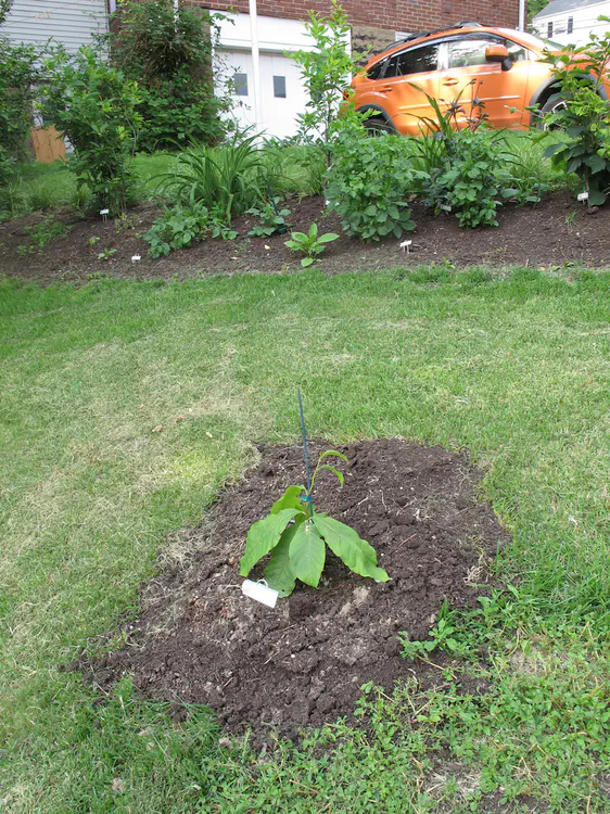 2018-06-16 17.19.23.jpg