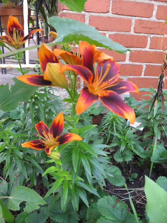 2018-06-16 17.22.24.jpg