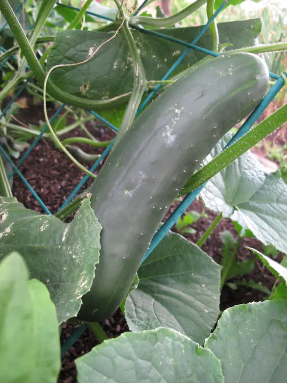 2018-06-24 19.15.34.jpg