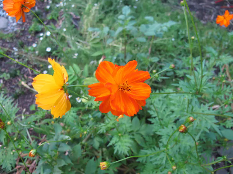 2018-07-03 20.23.03.jpg