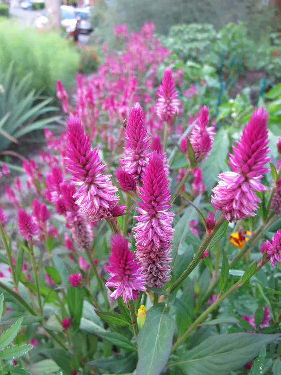 2018-07-03 20.25.21.jpg