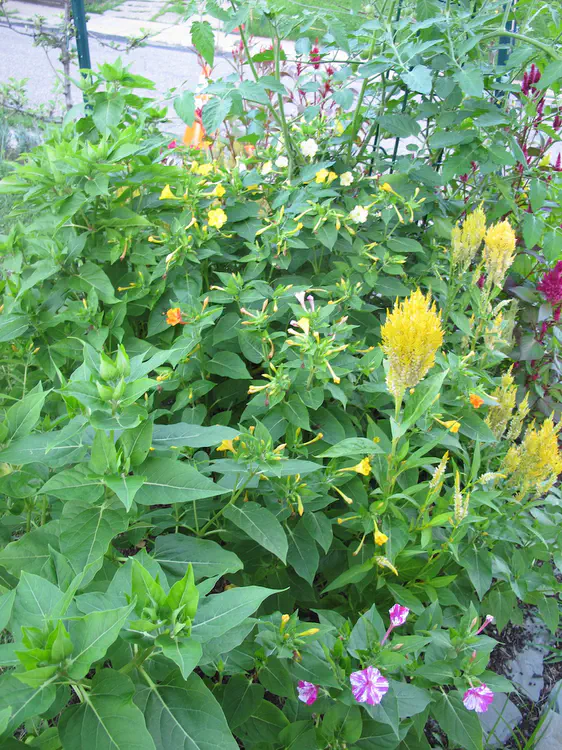 2018-07-07 20.08.54.jpg