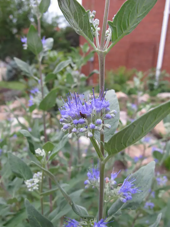 2018-08-05 14.29.44.jpg