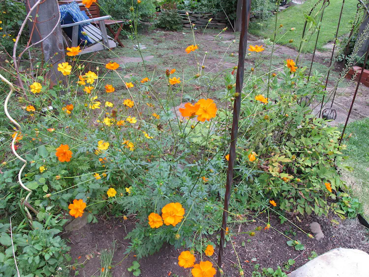 2018-08-05 14.30.53.jpg