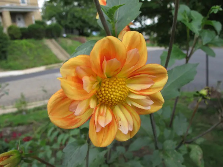 2018-08-25 16.52.26.jpg