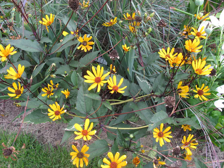 2018-08-25 16.54.28.jpg