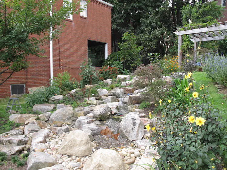 2018-08-25 16.54.45.jpg