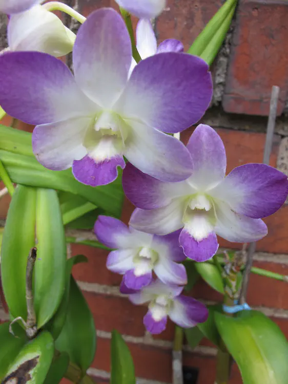 2018-09-16 11.30.16.jpg