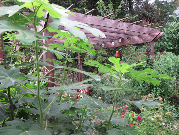 2018-09-17 19.07.19.jpg