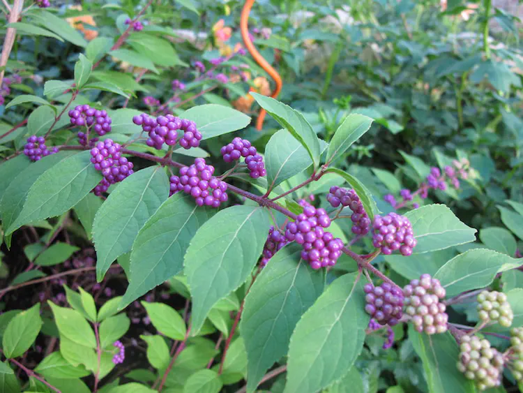 2018-10-07 17.44.41.jpg