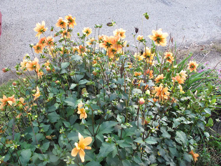 2018-10-07 17.48.56.jpg