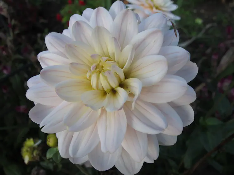 2018-10-07 17.49.11.jpg