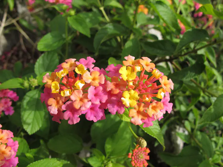 2018-10-14 15.22.38.jpg