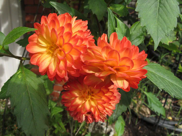 2018-10-14 15.22.50.jpg