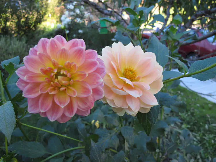 2018-10-18 17.32.39.jpg