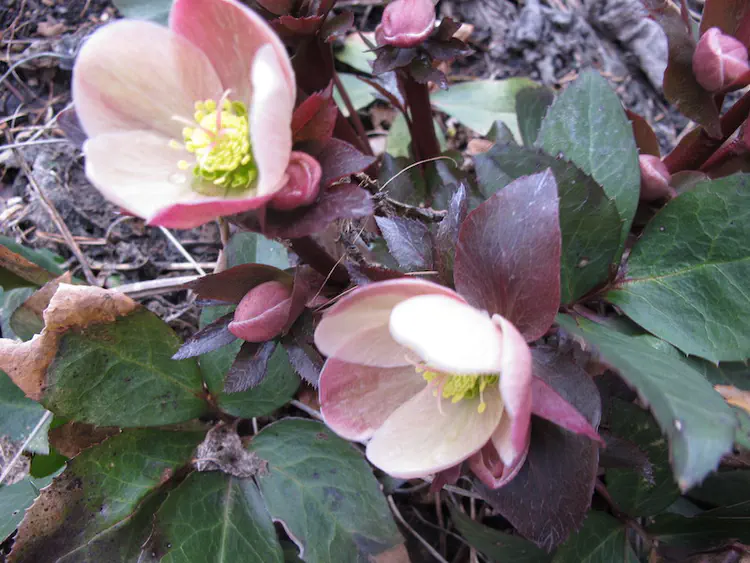 2019-03-31 17.44.45.jpg