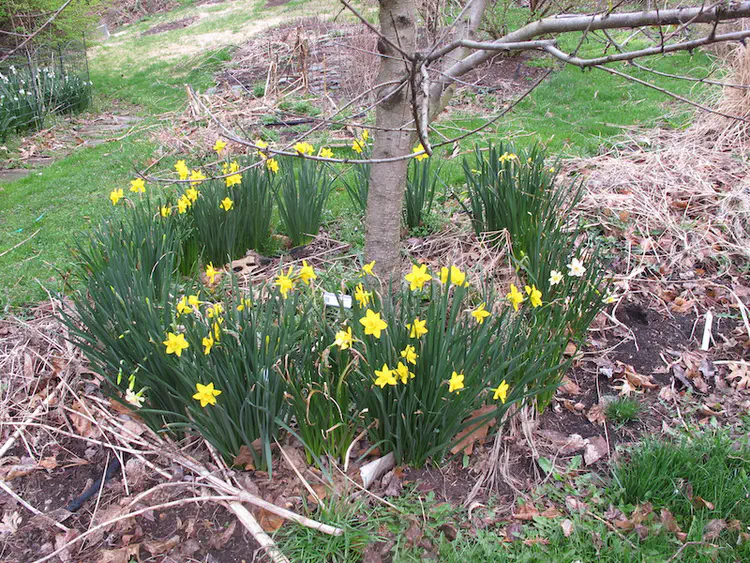 2019-04-14 08.57.27.jpg