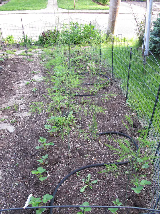 2019-05-06 19.14.39.jpg