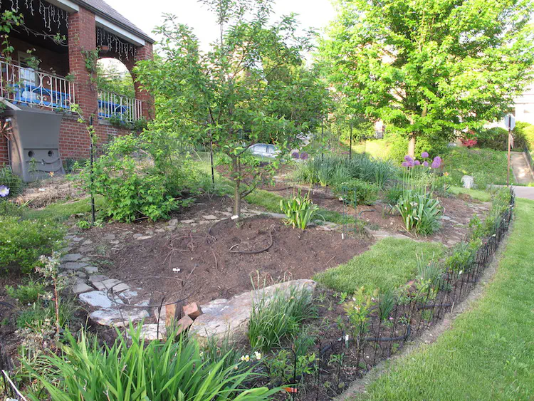 2019-05-06 19.18.01.jpg