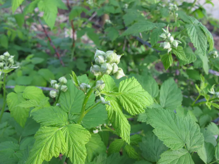 2019-05-06 19.19.03.jpg