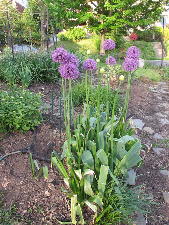 2019-05-06 19.19.53.jpg