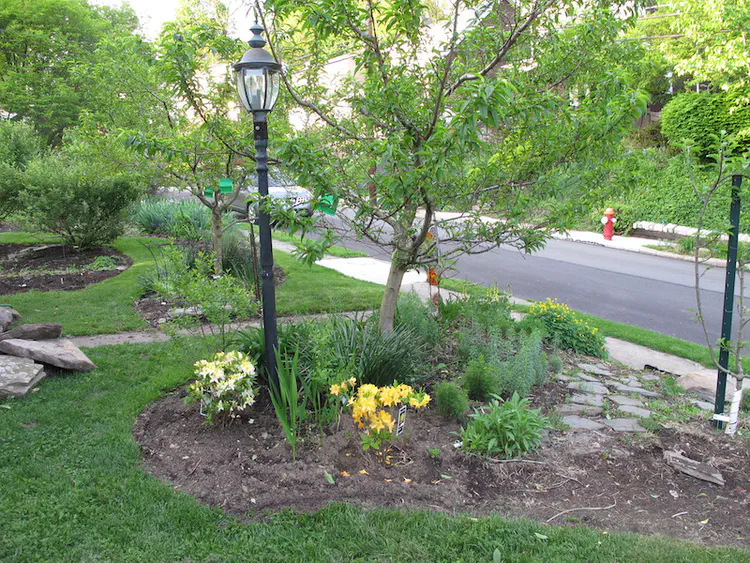 2019-05-06 19.20.52.jpg