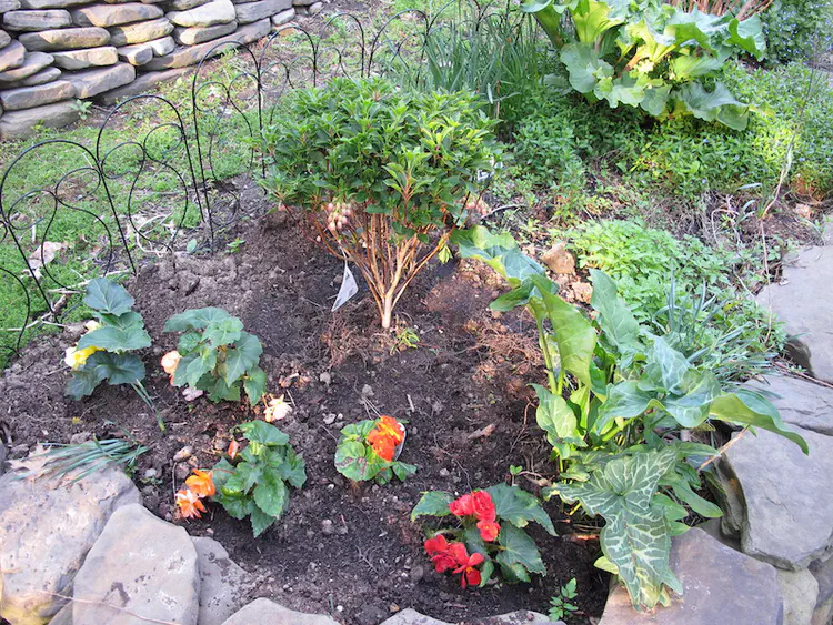 2019-05-06 19.24.01.jpg