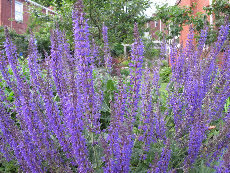 2019-05-19 19.17.52.jpg