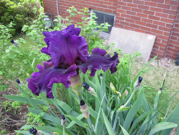 2019-05-19 19.21.20.jpg