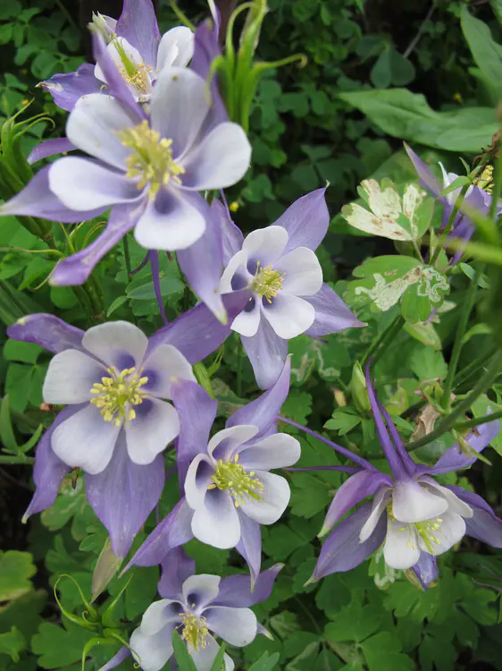 2019-06-15 17.33.58.jpg