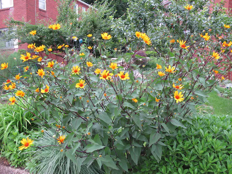 2019-06-15 17.40.03.jpg