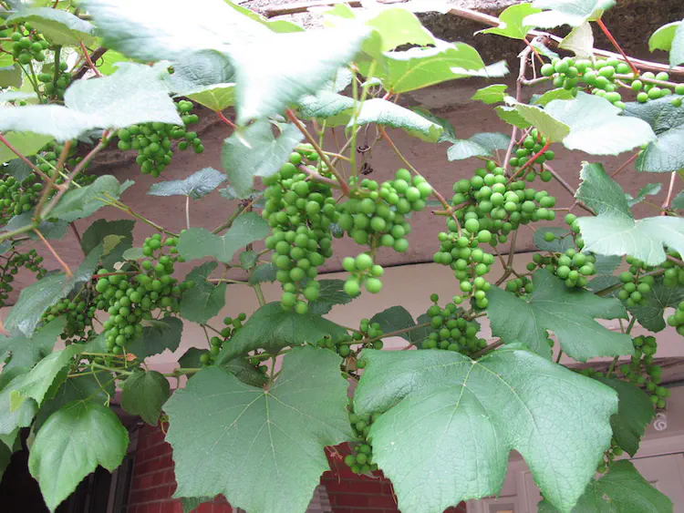 2019-06-15 17.40.32.jpg