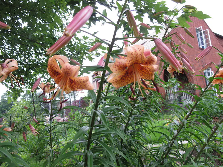 2019-06-15 17.53.36.jpg