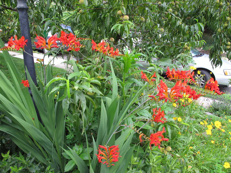 2019-07-05 18.39.58.jpg