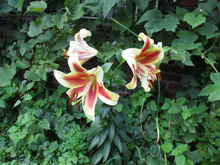 2019-07-05 18.41.16.jpg