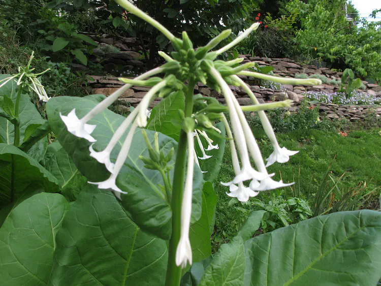 2019-07-05 18.45.09.jpg