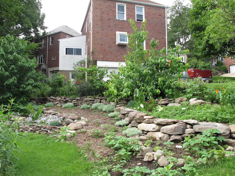 2019-07-07 17.18.21.jpg