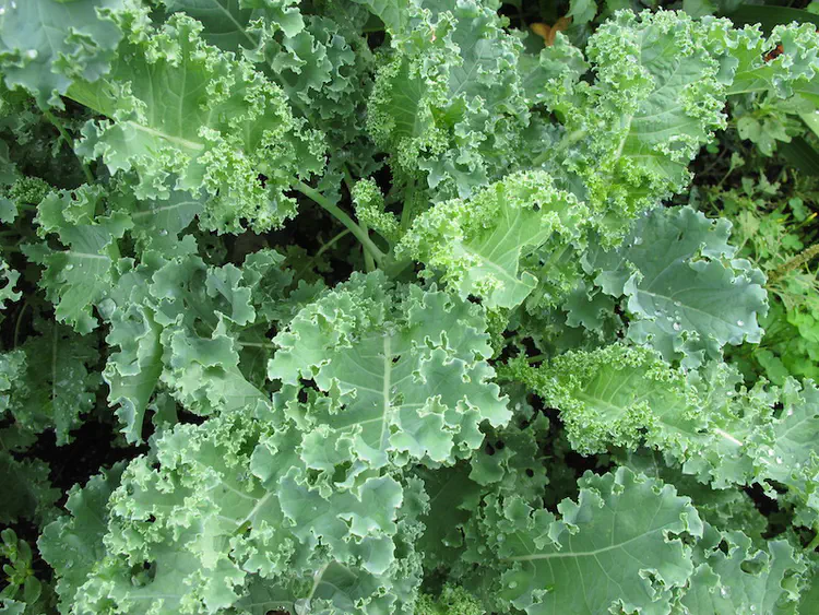 2019-07-07 17.19.53.jpg