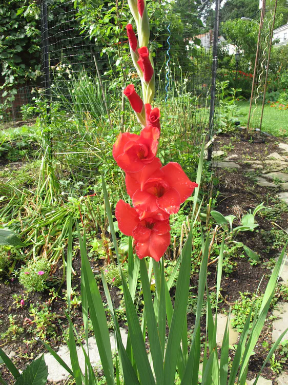 2019-07-07 17.21.38.jpg