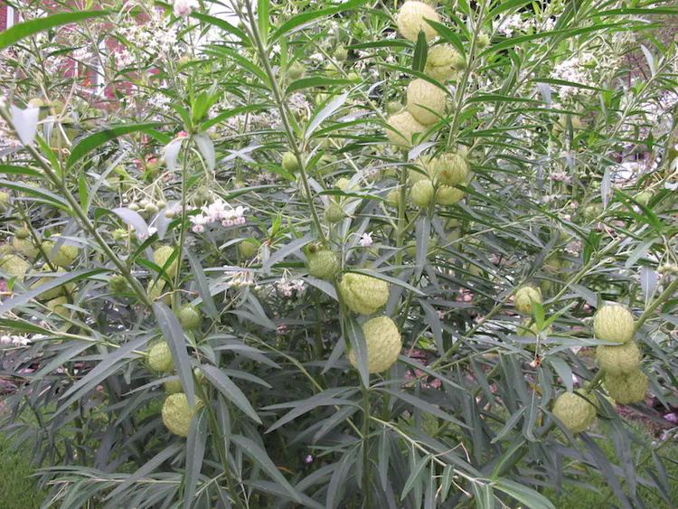 2019-08-22 20.13.13.jpg