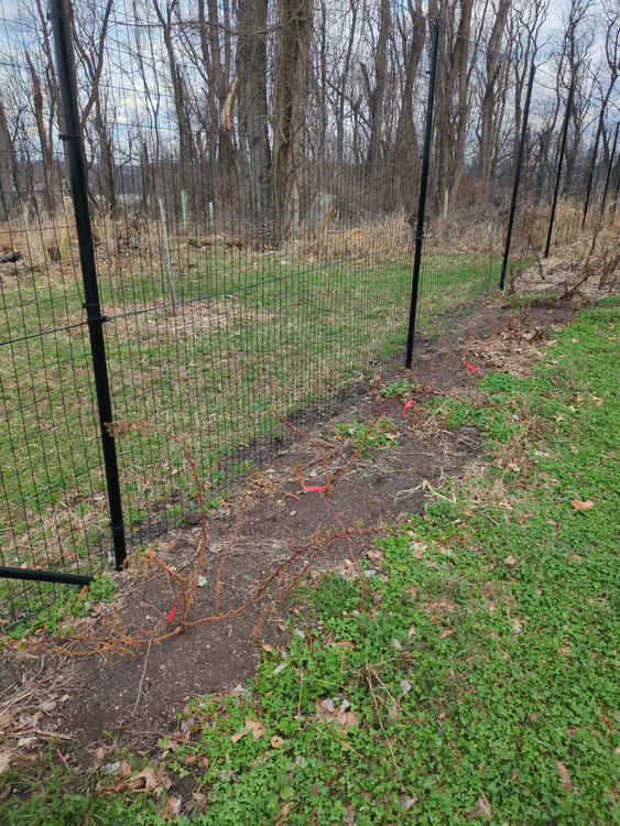 **Added photo** (2026-03-07)