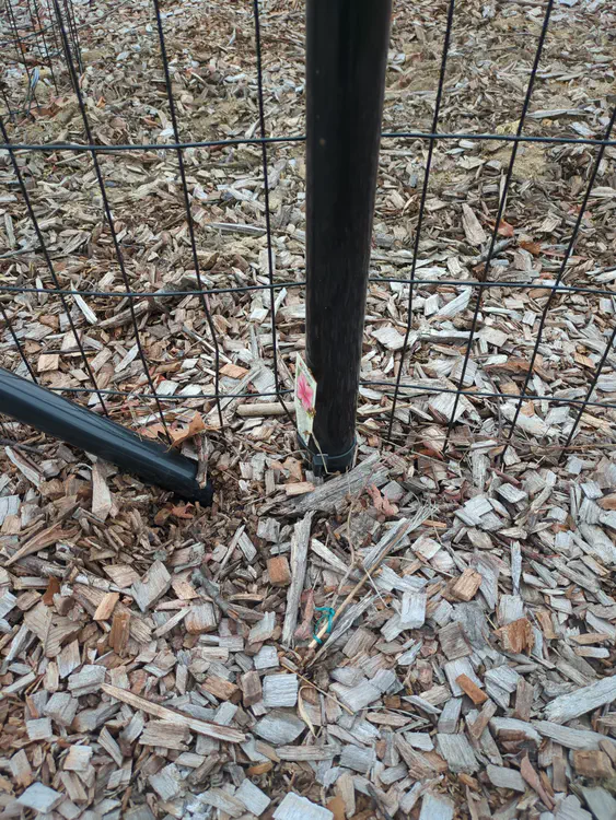 **Added photo** (2026-03-07)