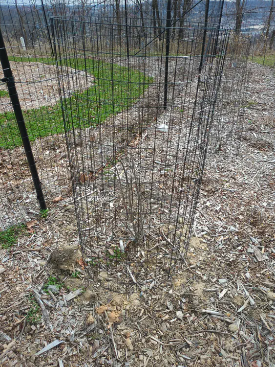 **Added photo** (2026-03-07)