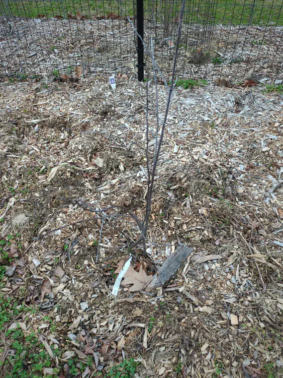 **Added photo** (2026-03-07)