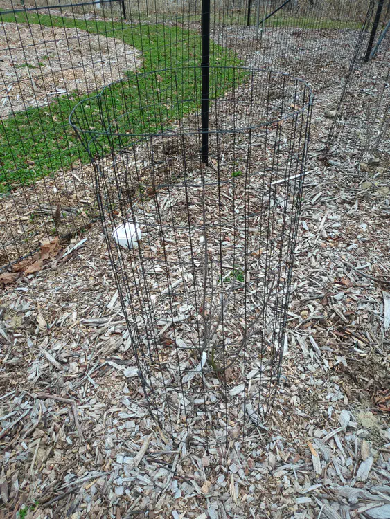 **Added photo** (2026-03-07)