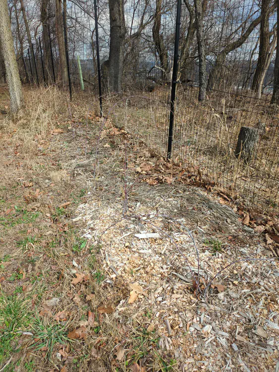 **Added photo** (2026-03-07)